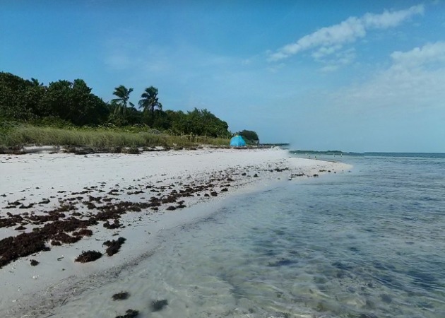 Sea Isle Area Activities - Cocoa Plum Beach